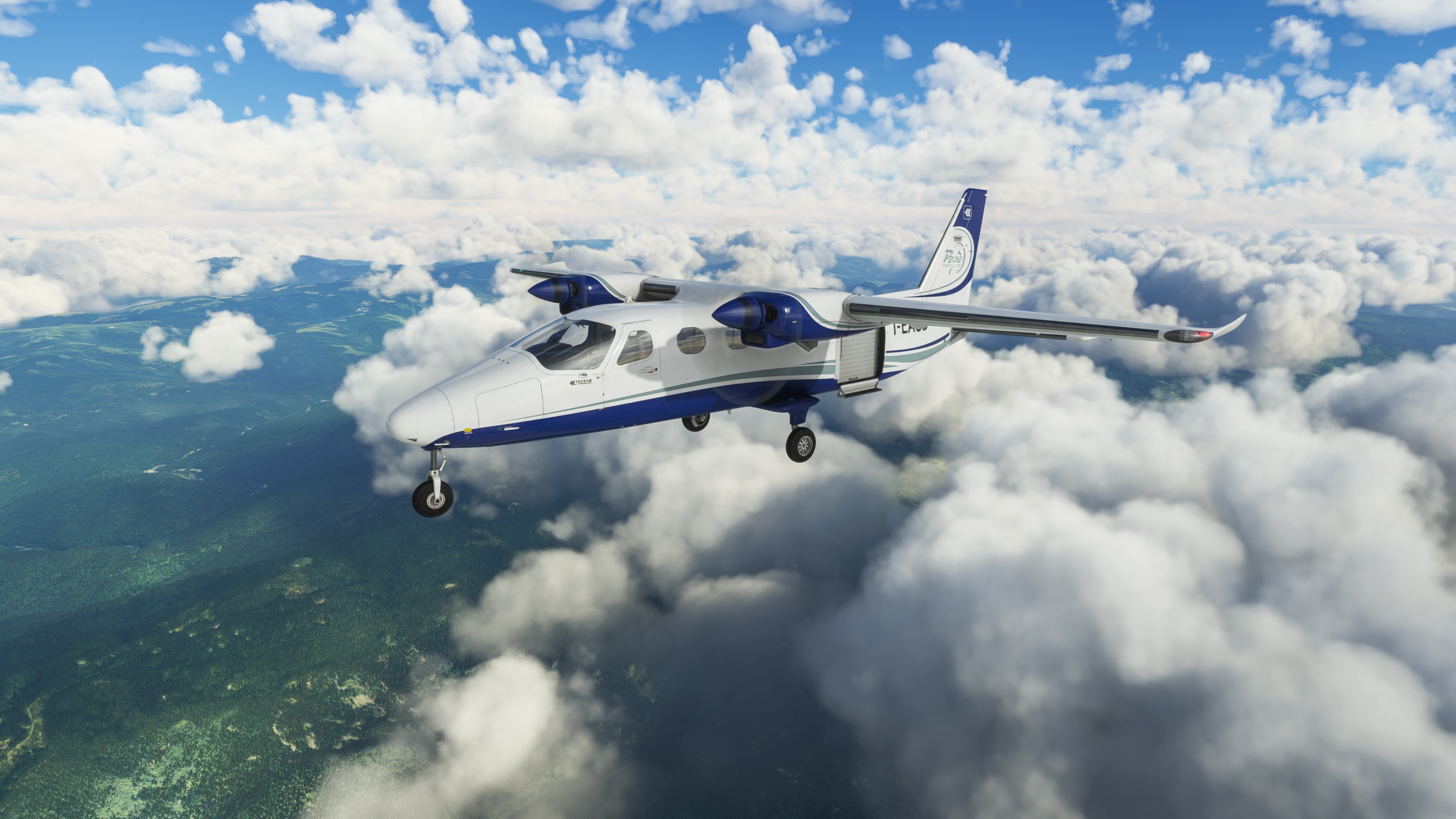 RFxFSS-Tecnam-P2012-152823